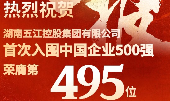 喜報！集團首次躋身中國企業(yè)500強